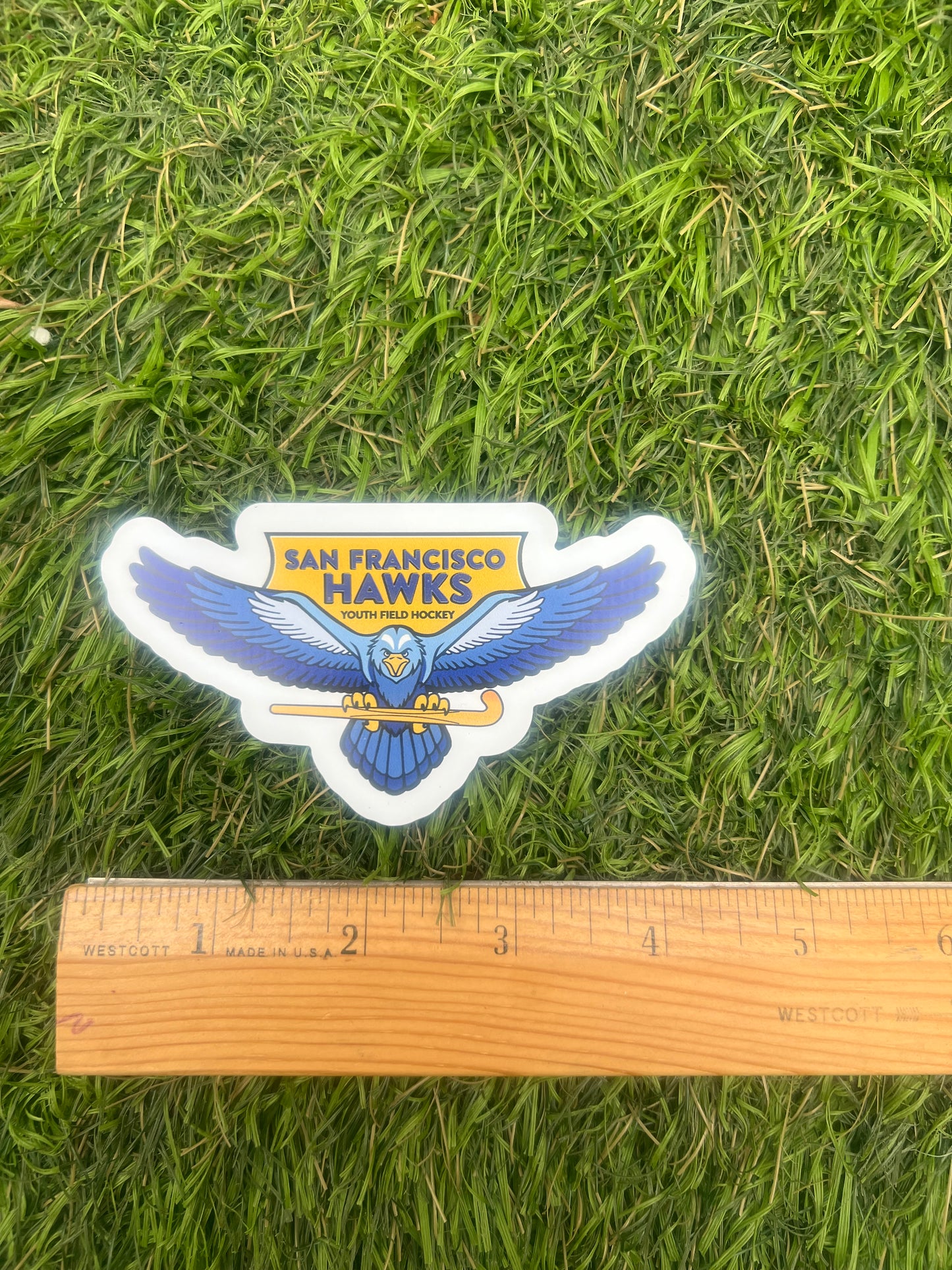 SF Hawks Car Magnet