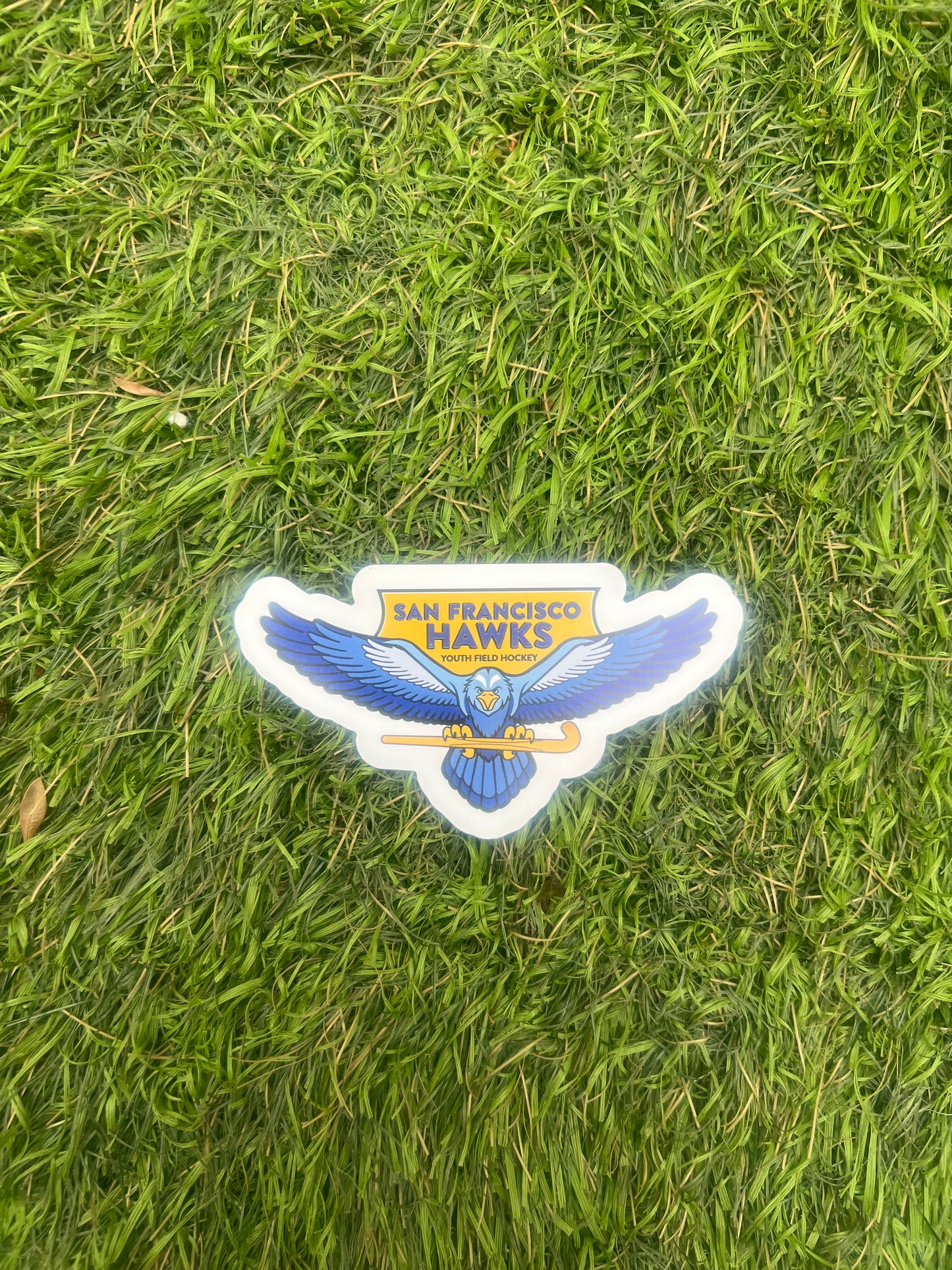 SF Hawks Car Magnet